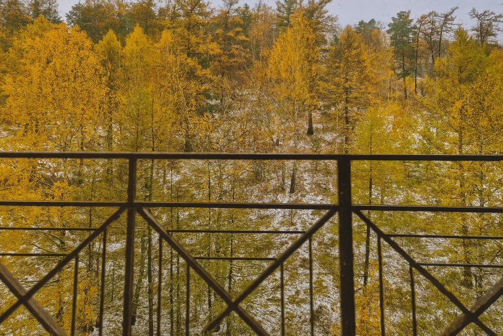 Студия в стиле шале с видом на лес, комфорт достойного вас уровня