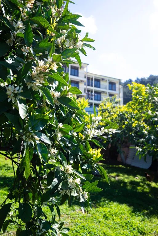 Гостевой дом с видом на море и горы