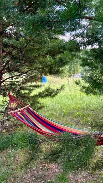 Дом на большом лесном участке Дача интроверта