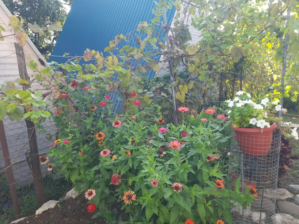 Двухэтажный коттедж "Мидия"