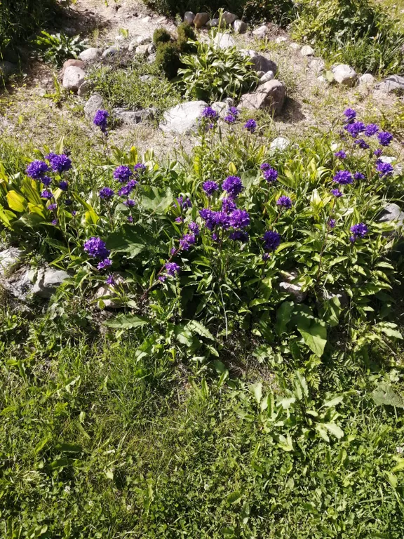 Меличуярви дом из бревна с сауной на берегу озера у самого леса