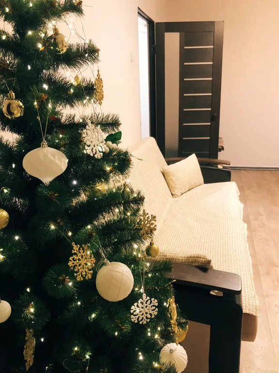 Уютная квартира в спальном районе — аренда посуточно в Великий Устюг