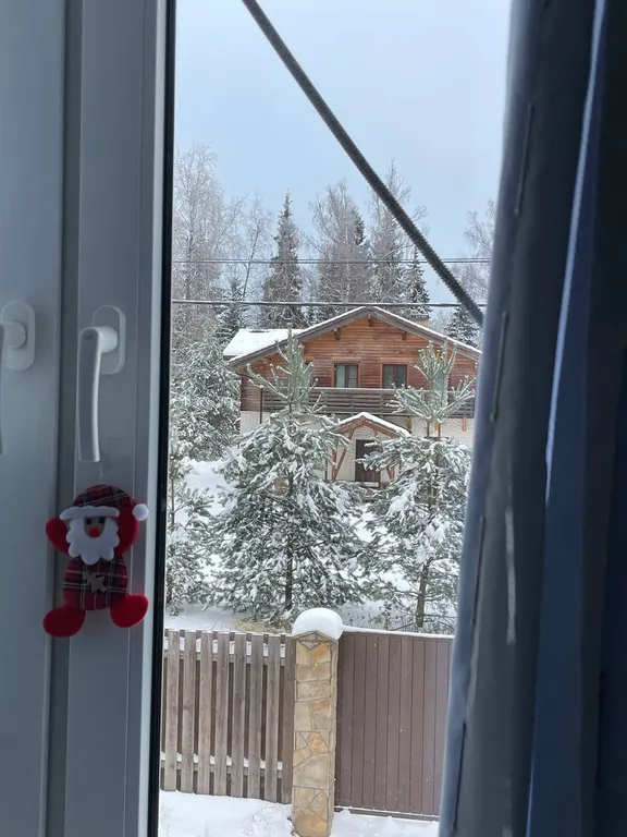 Коттедж Уютный домик в лесу — Дубровки