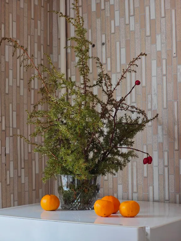 Просторная квартира в центре