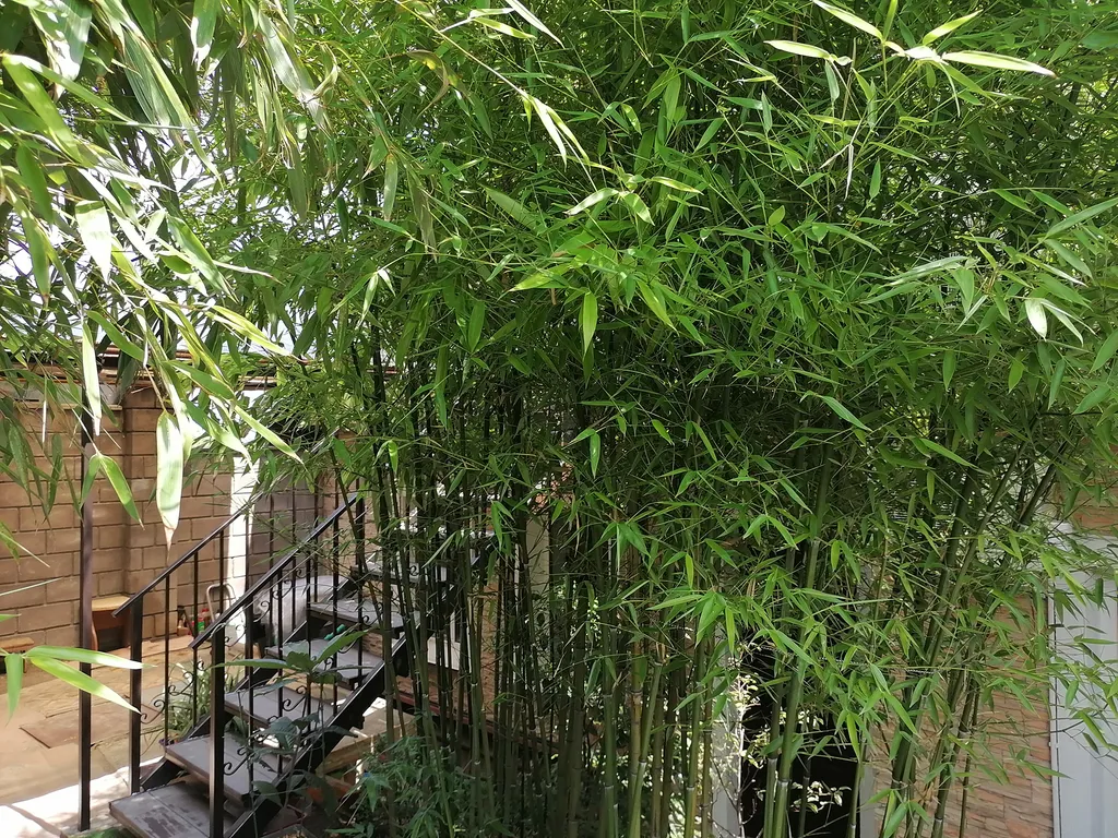 Квартира Квартира Студия - мансарда в тихом центре — Севастополь