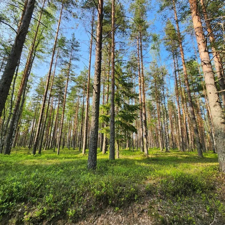 2 комнатная квартира в Решетниково