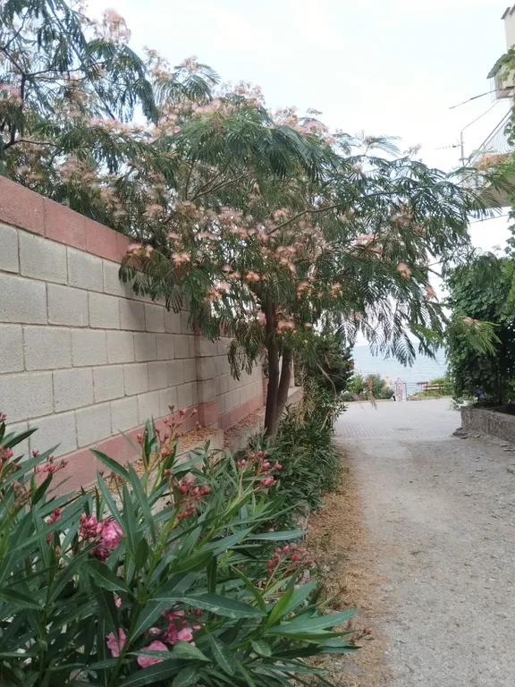 Уютный номер с видом на море на  первой  линии