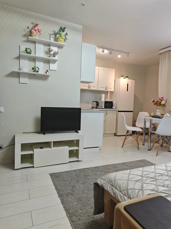 Атмосферная квартира у Глобуса на Зелёной