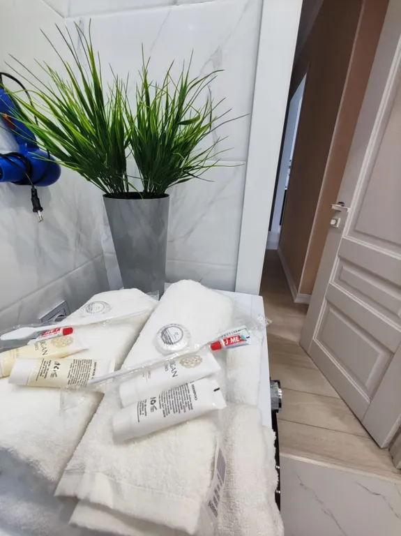 Евродвушка около ботанического сада