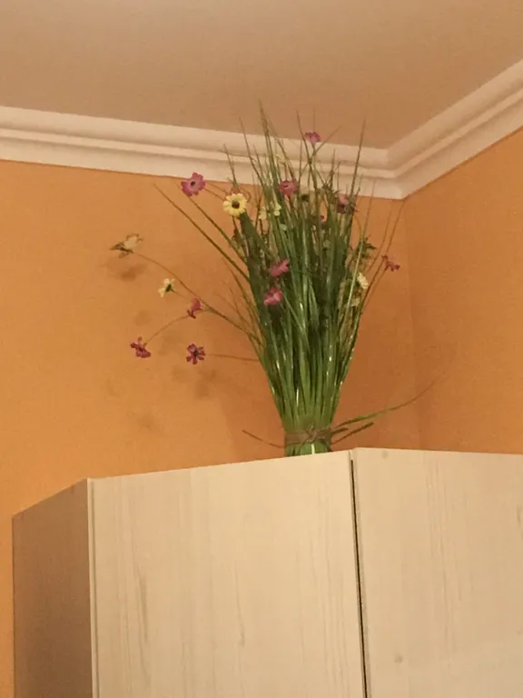 Апартаменты с видом на море Бавария