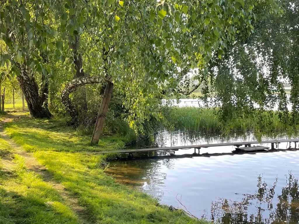 Усадьба Medna возле Бреста