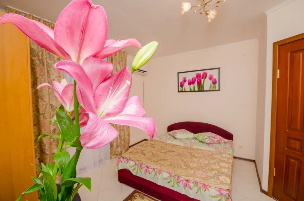 Двухместный Стандарт с двуспальной кроватью и дополнительным местом