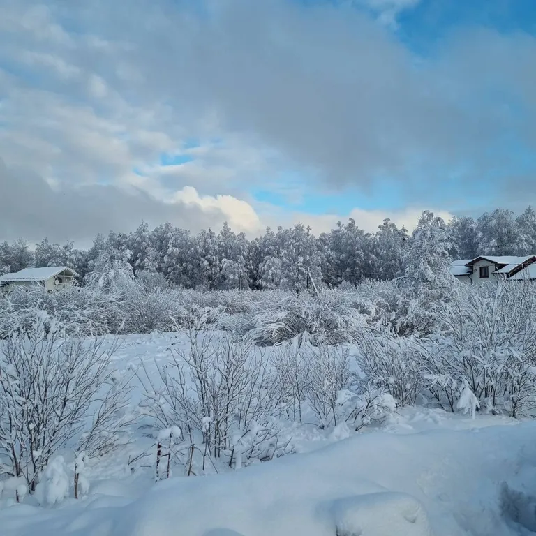 Дом у прудов