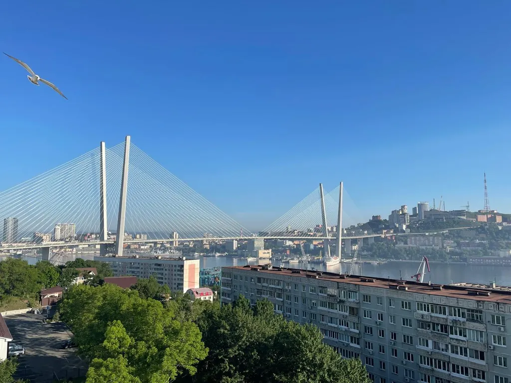 Уютная, просторная квартира с видом на бухту золотой рог — аренда посуточно в Владивосток