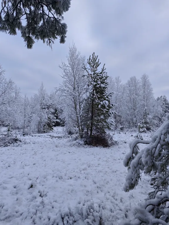 Коттедж Загородный дом с видом на лес — Ситники