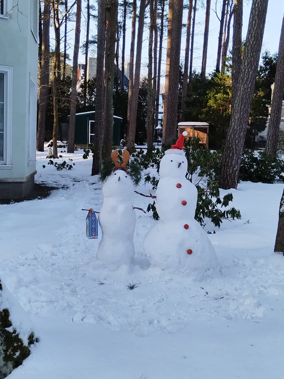 Уютная студия в прекрасном городе-курорте Светлогорск (Rauschen)
