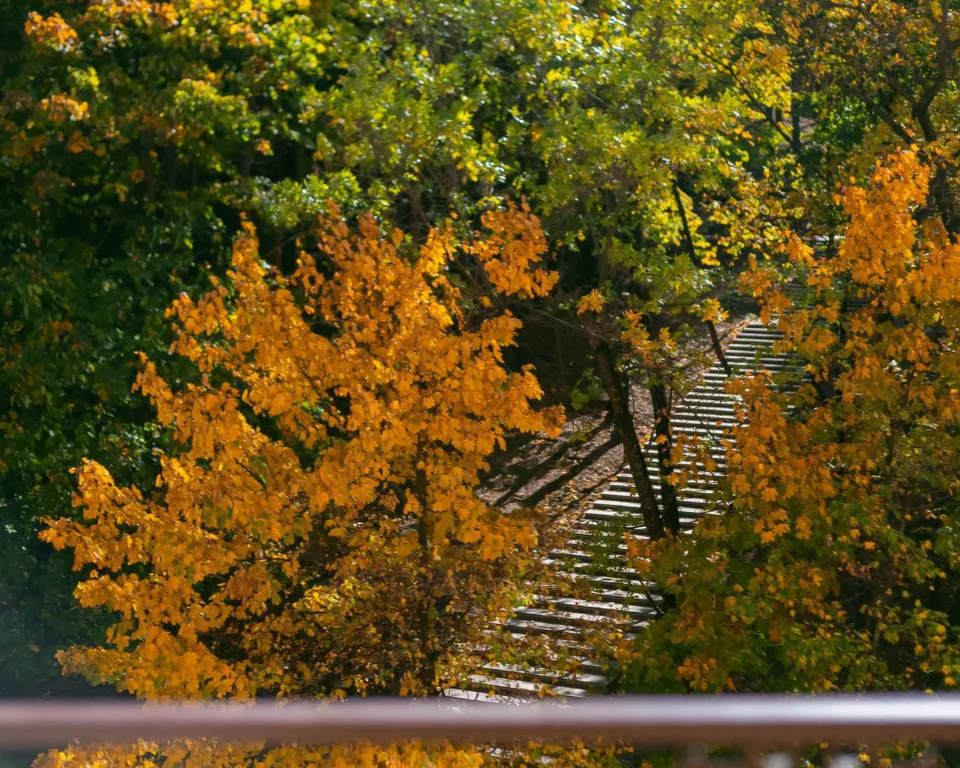 Уютная 2-комнатная квартира с видом на парк