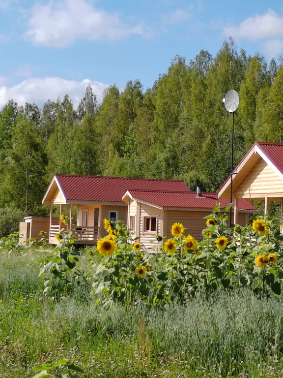 Коттедж Дом с видом на лес база Карловка — Чудово