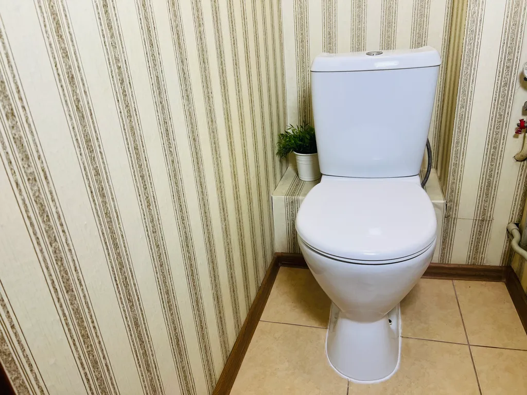 1-комнатная квартира в деловом и историческом центре города с новогодней елкой