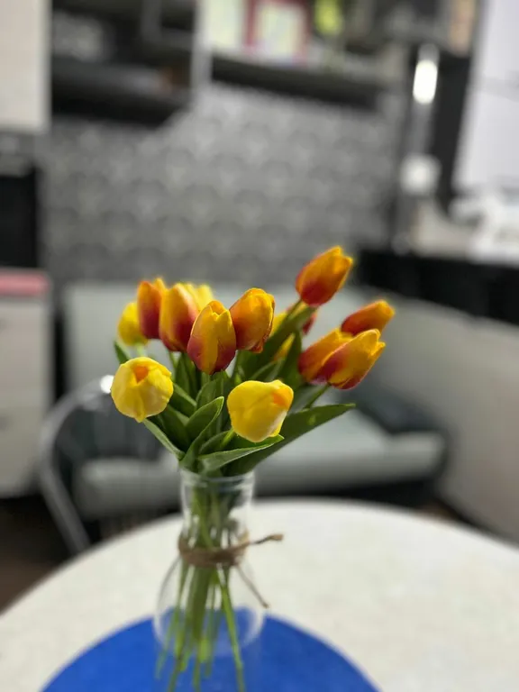 Евродвушка с видом на реку