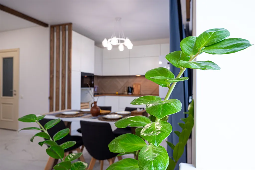 Relax Апартаменты