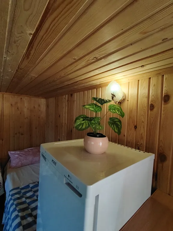 Летний номер с видом на березовый лес