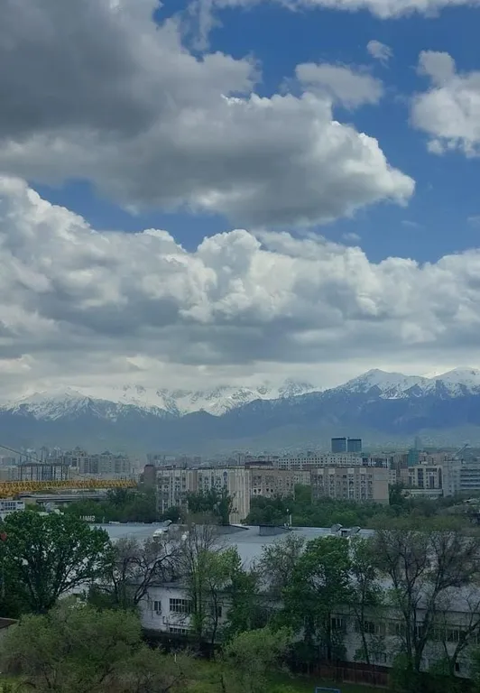 Новая квартира в центре города в ЖК