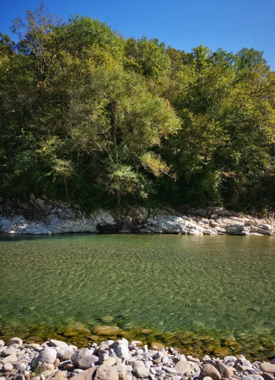 Студия с возможностью спа и домашним комфортом
