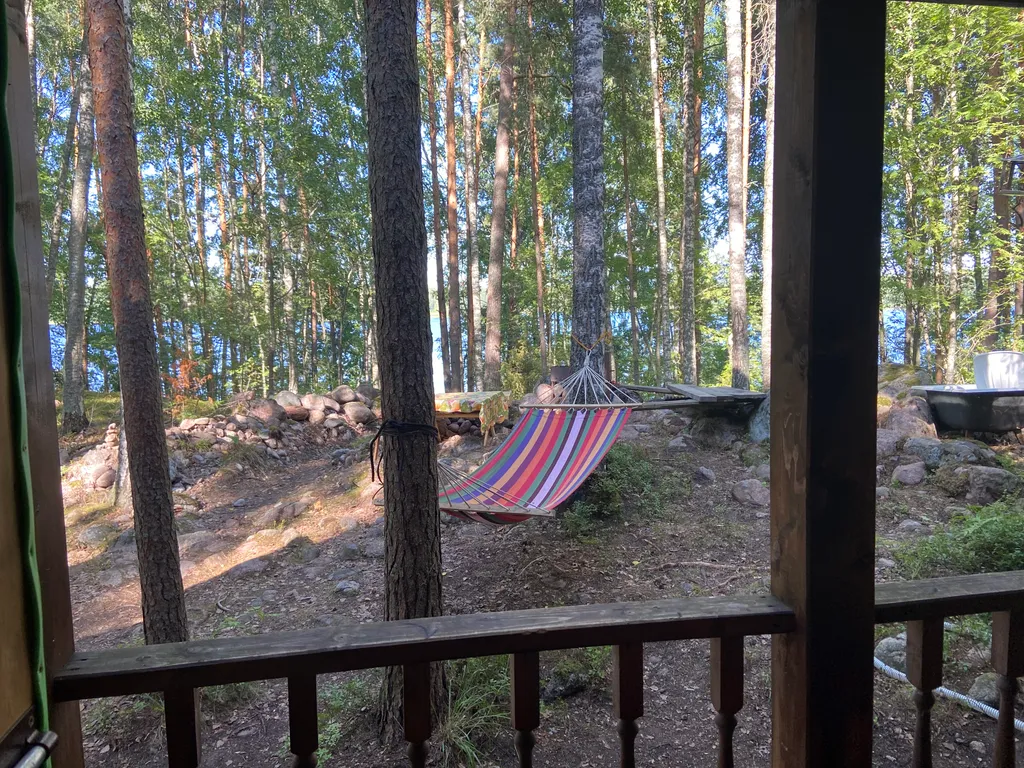 Хижина в лесу на берегу озера без соседей