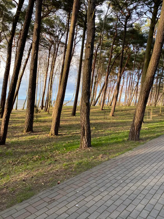 Двухкомнатная квартира у моря