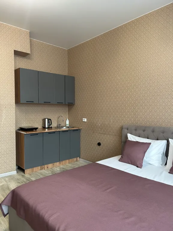 Уютная и новая квартира в центре города