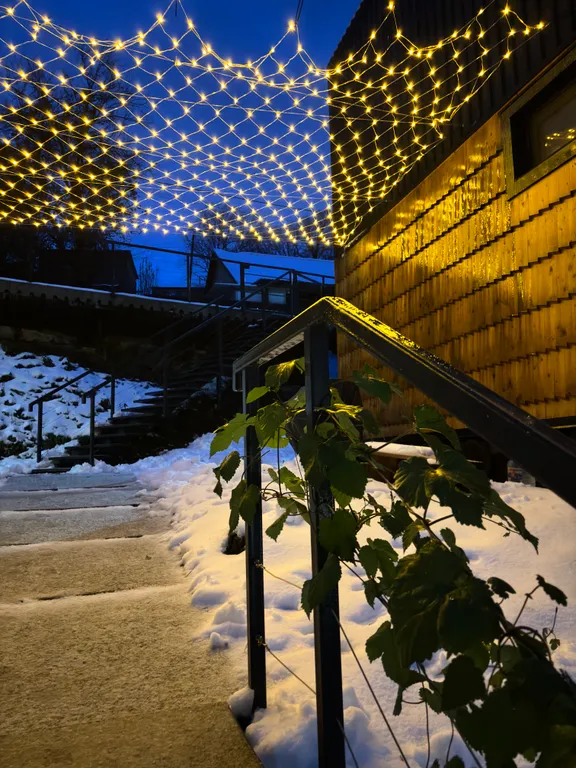 Дом с видом на море в лесу