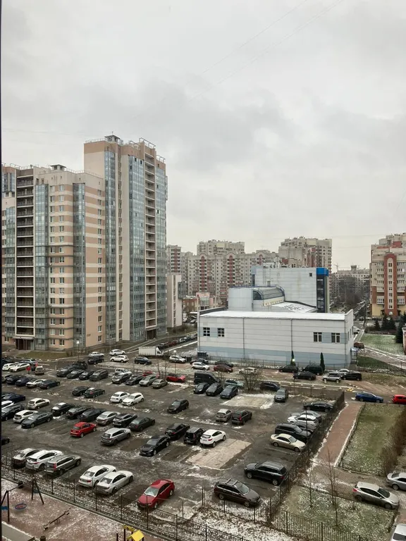 Новая квартира вблизи центра