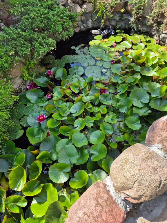 Большой уютный дом с баней между Брестом и Беловежской пущей