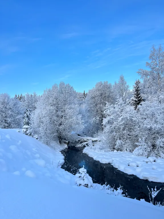 Уютный дом на берегу карельского озера
