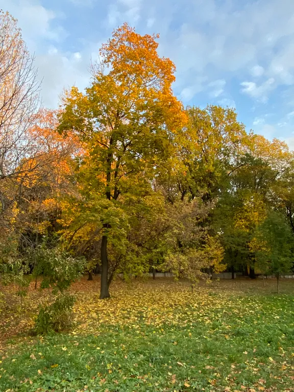 Новый гостевой дом с дизайнерским ремонтом