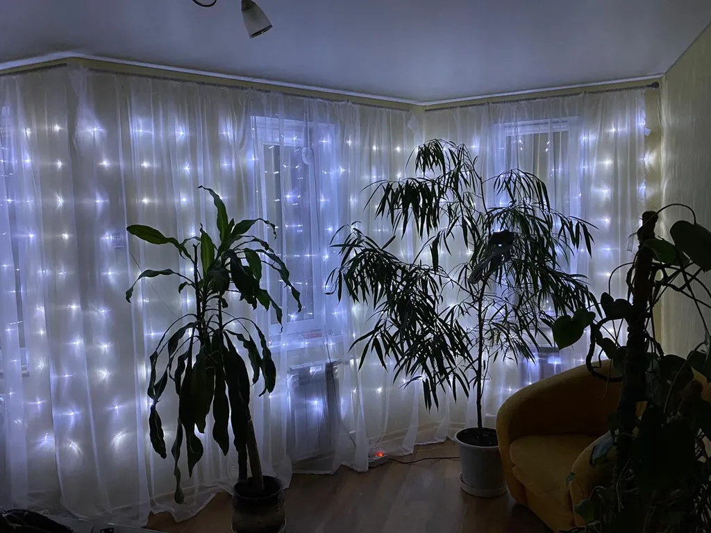 Дом Семен Семеныч