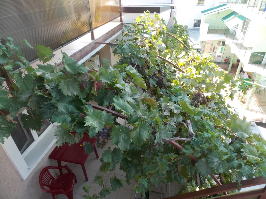 Квартира Лимонная комната — Феодосия