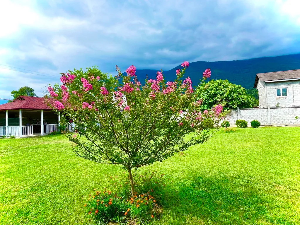 Полулюкс с балконом-террасой и панорамным видом на горы