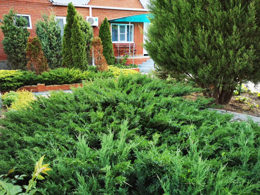 Коттедж Большой дом на море — Кучугуры