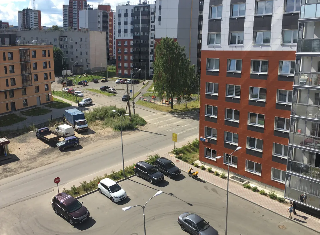 Студия карельский лось с видом на озеро