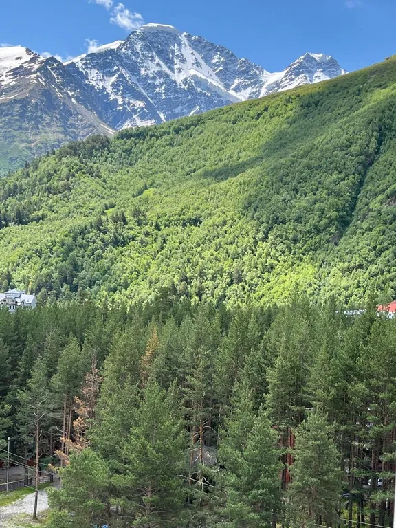 Квартира с панорамным видом на горы