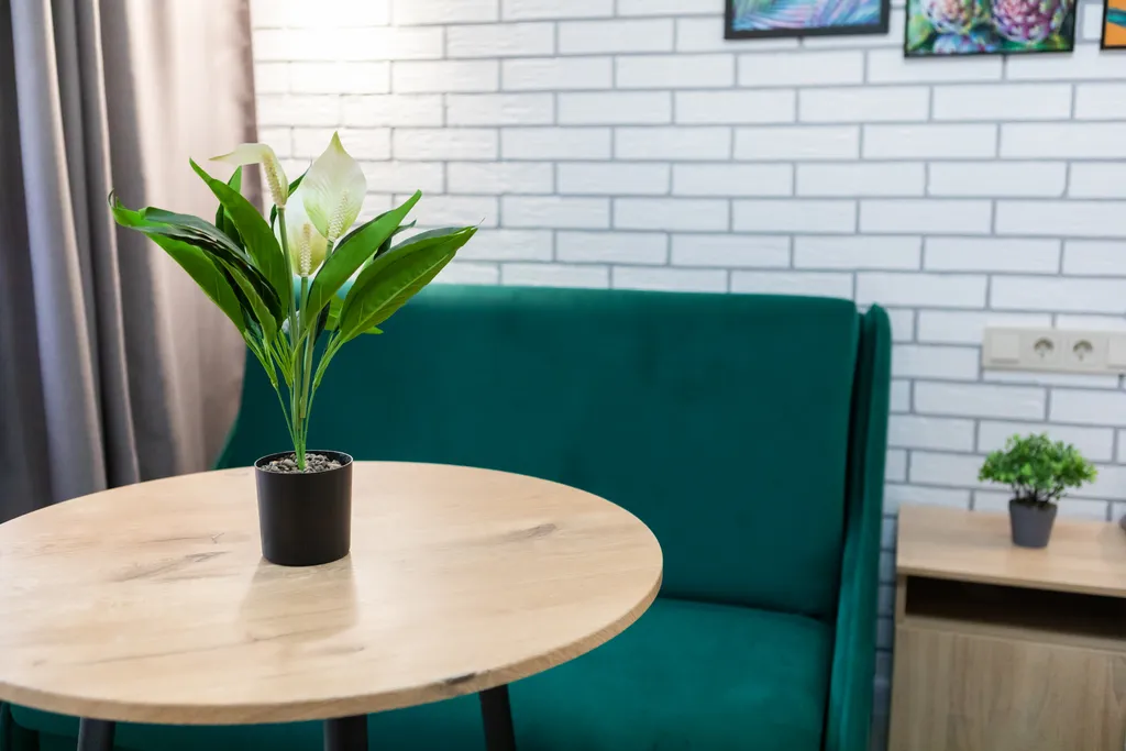 Уютная студия с дизайнерским ремонтом