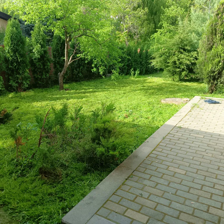 Дом шале с видом на санаторий