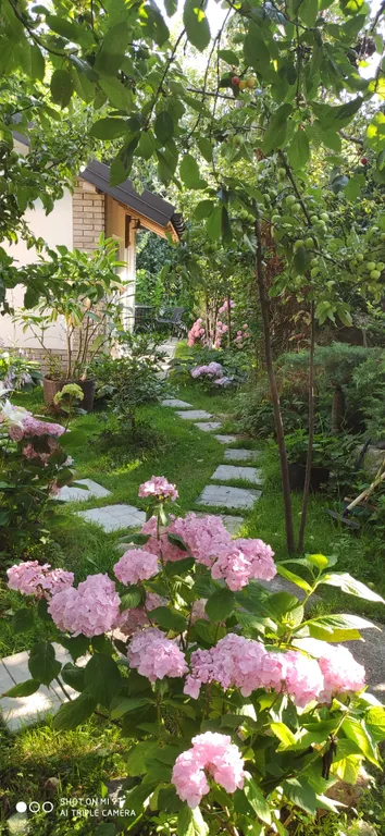 Светлая и просторная студия в чудесном саду для отдыха под шум моря