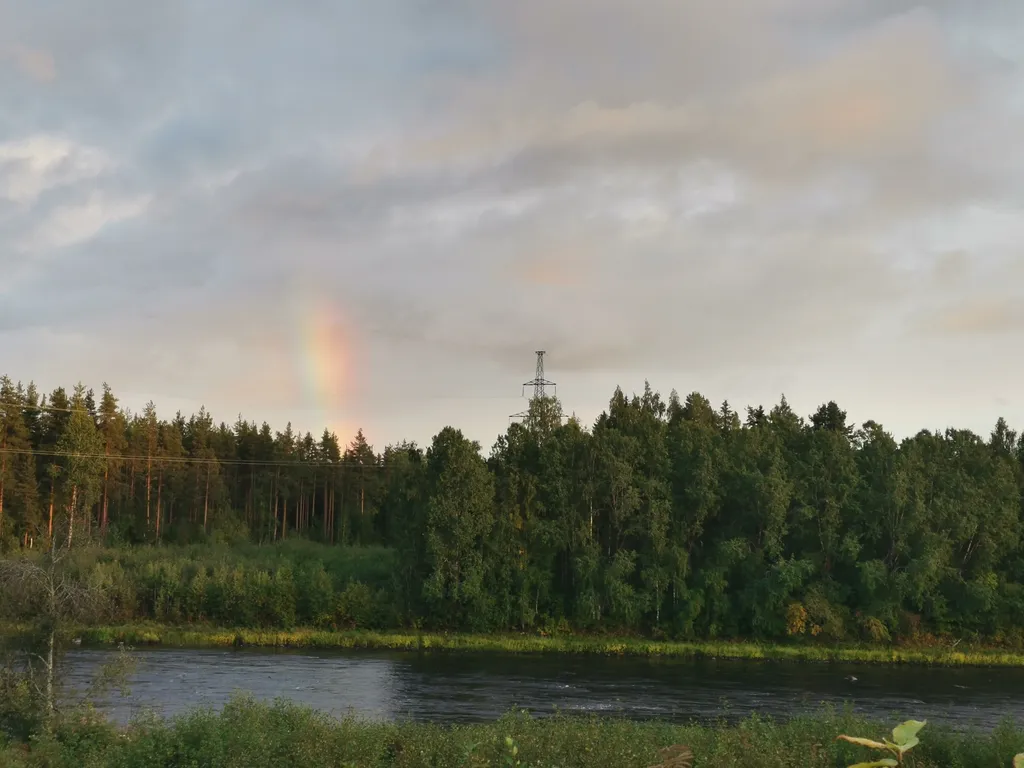 Дом с садом между лесом и рекой
