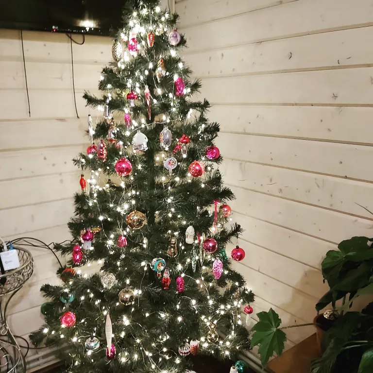 Коттедж 2-комнатный Дом — Сириус