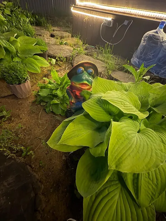 Коттедж Уютный домик — Крымское