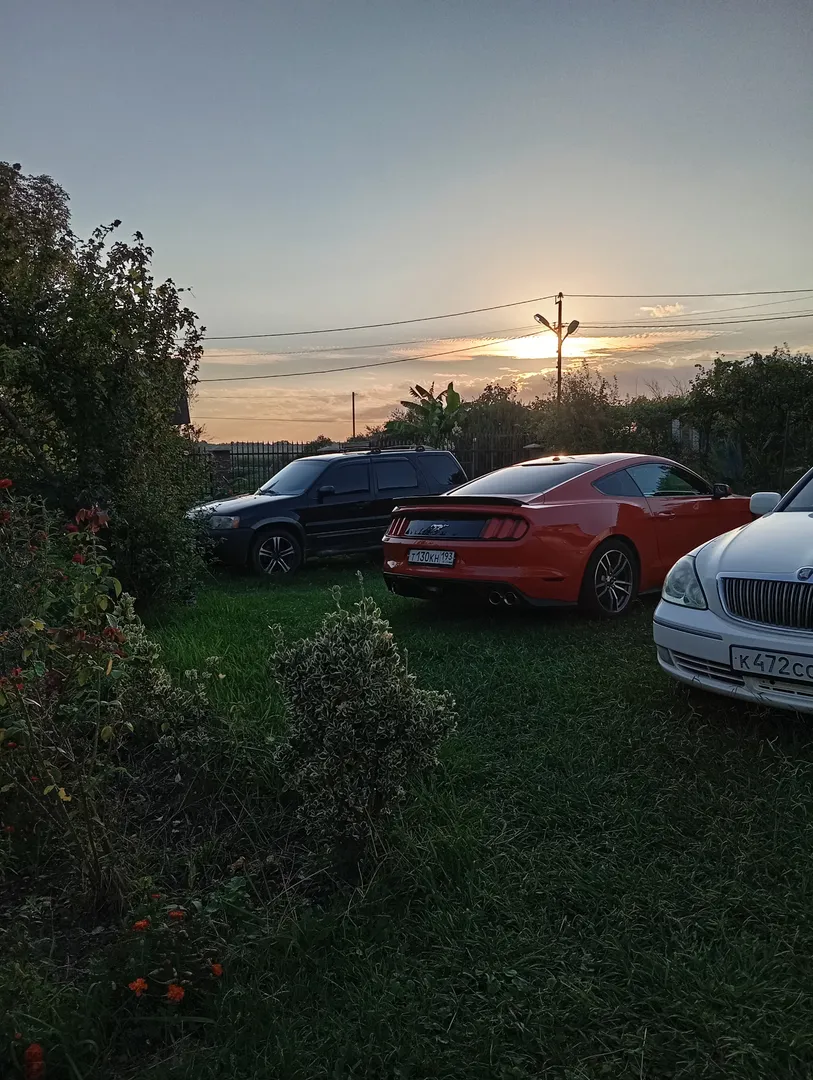 Фото