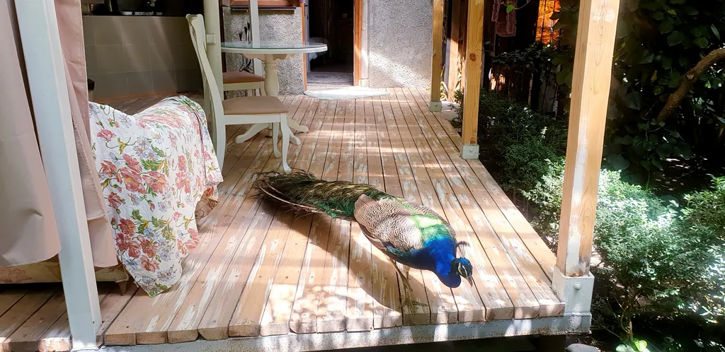 Лавандовая вилла